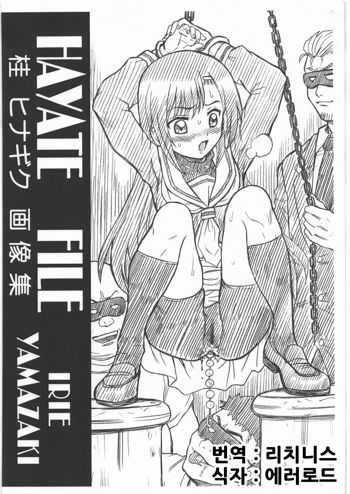 HAYATE FILE Katsura Hinagiku Gazoushuu, 한국어