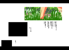 ある河のほとり.河川敷探索記, 日本語