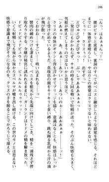 借金お嬢クリス3 令嬢はいかにして42兆円を返済したか？, 日本語