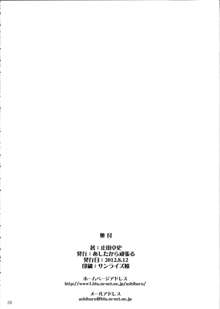 なおちゃんはＭなちんぽ依存症, 日本語