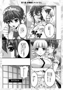 お嬢様と先生とメイドさんとボク, 日本語