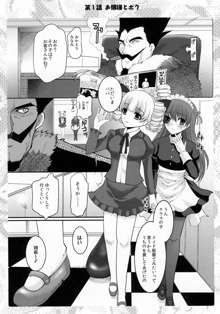 お嬢様と先生とメイドさんとボク, 日本語