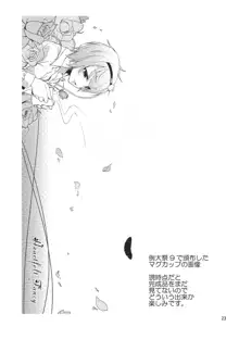 Urakoi Vol. 3, English