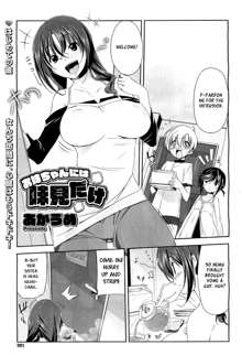 Onee-chan ni wa Ajimi dake | Only a Taste for Onee-chan, English