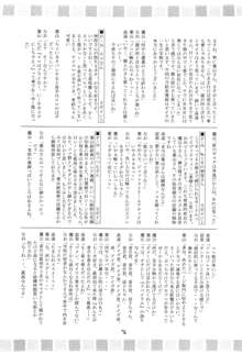 ヴァルハラ～第二章～冬の嵐, 日本語