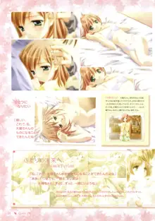 Canvas Sepia iro no Motif Visual Fanbook, 日本語