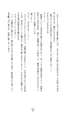 デビッターズ 返して★勇者さま！, 日本語