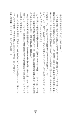 デビッターズ 返して★勇者さま！, 日本語