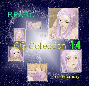 ベクサークCG COLLECTION14, 日本語