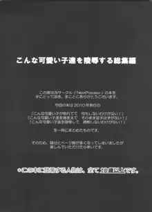 こんな可愛い子達を陵辱する総集編, 日本語