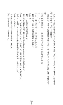 どりる★クライシス 僕のドリルは止まらない, 日本語