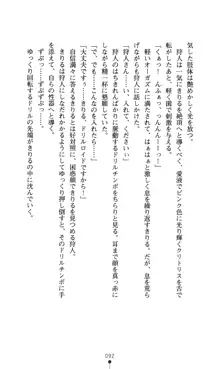 どりる★クライシス 僕のドリルは止まらない, 日本語