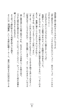 どりる★クライシス 僕のドリルは止まらない, 日本語