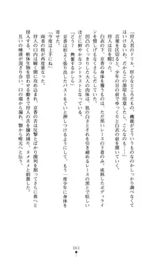 どりる★クライシス 僕のドリルは止まらない, 日本語