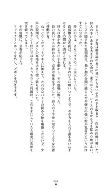 どりる★クライシス 僕のドリルは止まらない, 日本語