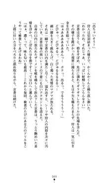 どりる★クライシス 僕のドリルは止まらない, 日本語