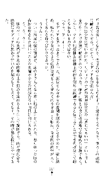 ホワイトプリズンII 仮面の下に暗き熱情は潜む, 日本語