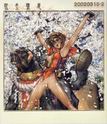 Masamune Shirow - Togihime Zohoushi, 日本語