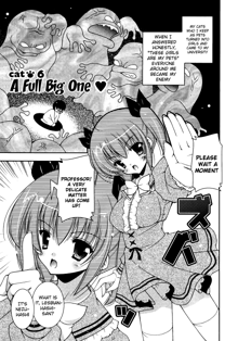 Nyatto! Ch.1-9, English