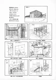 黄金色舞台 5, 日本語