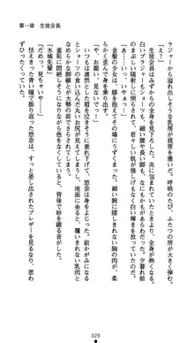 生徒会長水城悠奈 放課後の魔辱, 日本語