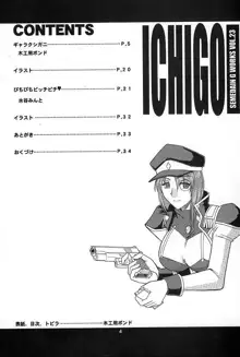 SEMEDAIN G WORKS vol.23 - ICHIGO, 日本語