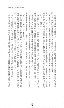 魔人形ハンター琉衣, 日本語