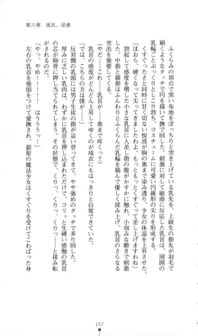 魔人形ハンター琉衣, 日本語