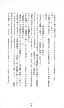 魔人形ハンター琉衣, 日本語