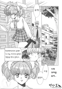 SEX CRIME, 한국어