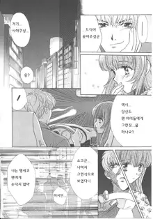 SEX CRIME, 한국어