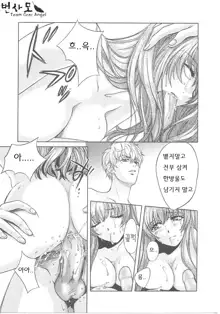 SEX CRIME, 한국어