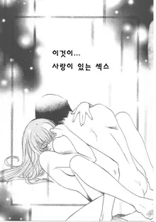 SEX CRIME, 한국어