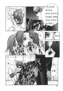 SEX CRIME 3, 한국어