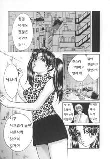 SEX CRIME 3, 한국어