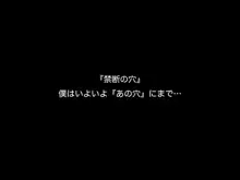 スーパーアイドル愛花!!夢もエッチもGO!GO!GO!, 日本語