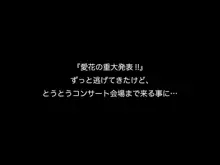 スーパーアイドル愛花!!夢もエッチもGO!GO!GO!, 日本語