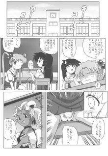 みさほた Vol.2, 日本語