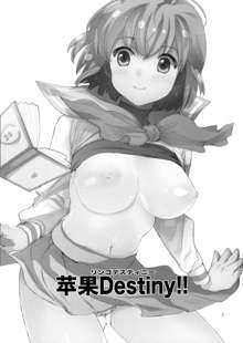 Ringo Destiny!!, 中文