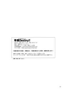 Ringo Destiny!!, 中文