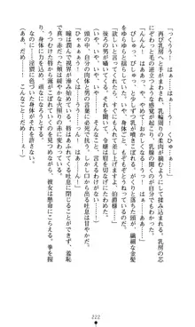 隷嬢メイド ルミエラ, 日本語