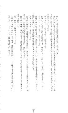 新・呪い屋零 淫魔の塔, 日本語