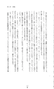 新・呪い屋零 淫魔の塔, 日本語