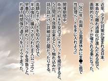 街興し!ま●こ県II, 日本語