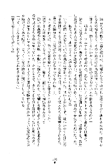 漆黒の巫女レディシャドウ 魅惑の姉妹, 日本語