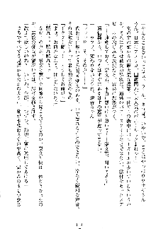 漆黒の巫女レディシャドウ 魅惑の姉妹, 日本語