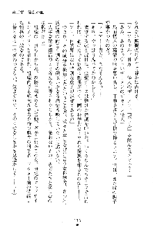 漆黒の巫女レディシャドウ 魅惑の姉妹, 日本語