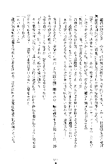 漆黒の巫女レディシャドウ 魅惑の姉妹, 日本語