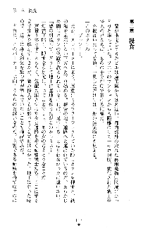 漆黒の巫女レディシャドウ 魅惑の姉妹, 日本語