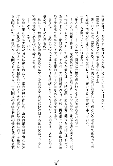 漆黒の巫女レディシャドウ 魅惑の姉妹, 日本語